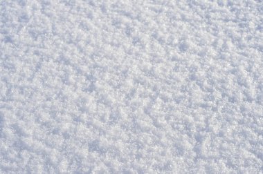 Sparkles yumuşak güneş ışığı ile kabarık taze kar.