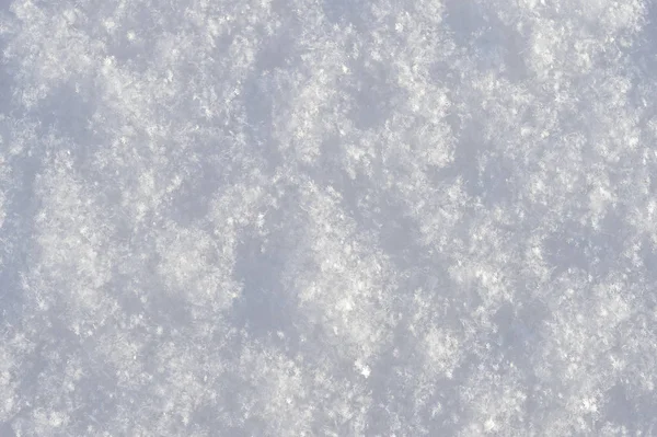 Nadýchané Čerstvý Sníh Viditelný Rozdíl Mnoha Sněhové Vločky — Stock fotografie