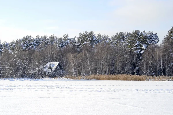 Een Schilderachtig Landschap Van Een Huis Sneeuw Bedekte Het Bos — Stockfoto