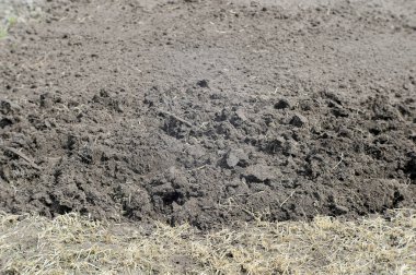 Sürülmüş arazi ve çim geçen yılki bitki kalıntıları ile alanın bölümü. Arka plan.