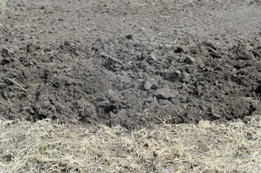 Sürülmüş arazi ve çim geçen yılki bitki kalıntıları ile alanın bölümü. Arka plan.