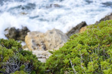 Sahil deniz. Vahşi rock beach. Doğal kaya oluşumu seyrek dağ bitki örtüsü ile kaplı. Yaz aylarında kayalık adanın kıyısında sörf.