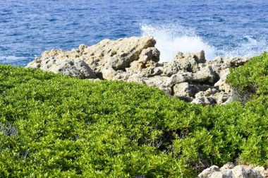 Sahil deniz. Vahşi rock beach. Doğal kaya oluşumu seyrek dağ bitki örtüsü ile kaplı. Yaz aylarında kayalık adanın kıyısında sörf.