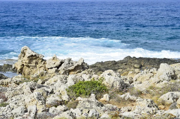 Deserted Shore Island Surf Background — Stock Photo, Image