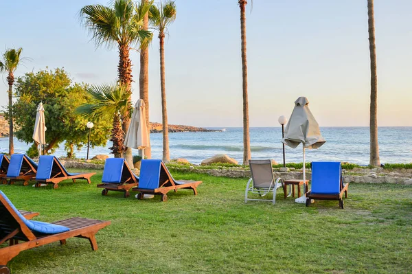 a number of chairs without people in the background of the palm trees by the sea at sunset.