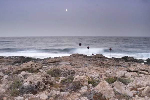 Mattina Alba Sulla Costa Rocciosa Del Mare Illuminata Dalla Luna — Foto Stock