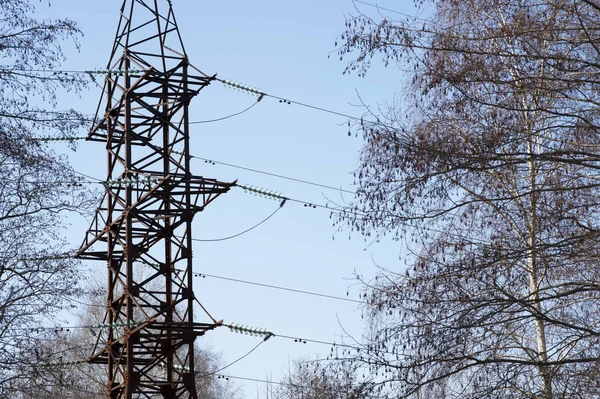 High-voltage line through the forest. The concept of deforestation and power line safety