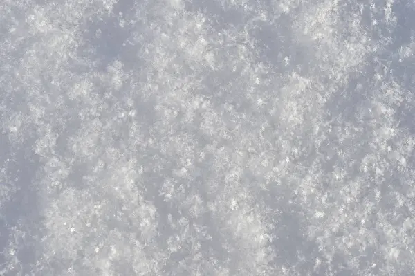 Neige fraîche moelleuse dans la distinction visible de nombreux flocons de neige — Photo