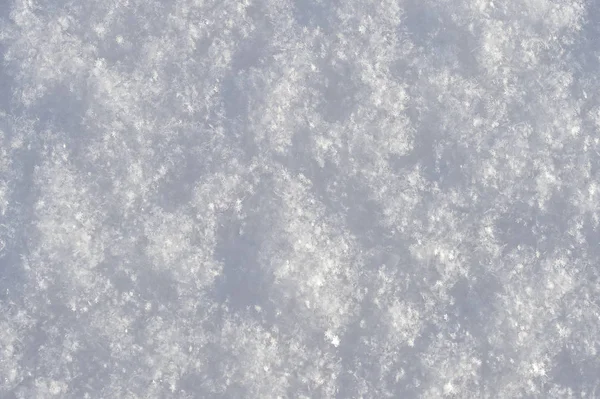 Neige fraîche moelleuse dans la distinction visible de nombreux flocons de neige — Photo