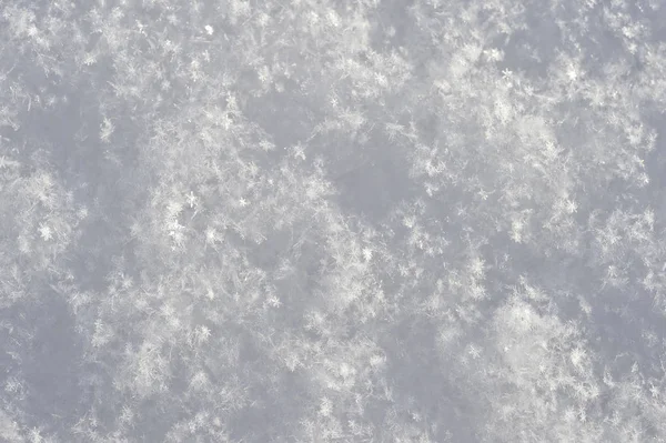 Flauschiger Neuschnee im sichtbaren Unterschied zu vielen Schneeflocken — Stockfoto