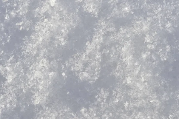 Nadýchané čerstvý sníh v viditelný rozdíl mnoha sněhové vločky — Stock fotografie