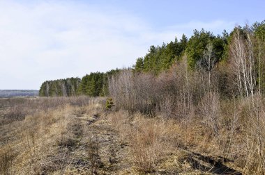 Ön planda kuru bitki örtüsü alanı ile bezli ve yaprak döken ağaçların orman kenarı. Arka plan, peyzaj