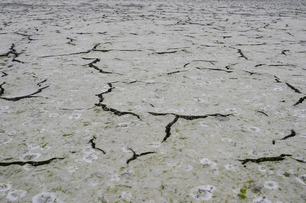 Scheuren in de droge grond. Achtergrond, textuur, ecologie — Stockfoto