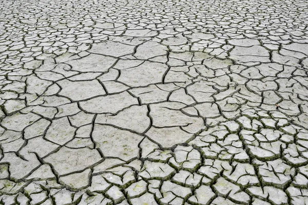 Scheuren in de droge grond. Achtergrond, textuur, ecologie — Stockfoto