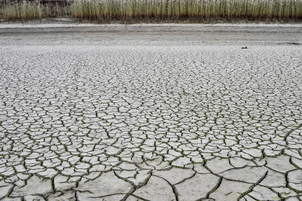 Het bed van de droogste rivier in de herfst. Achtergrond, textuur, ecologie — Stockfoto