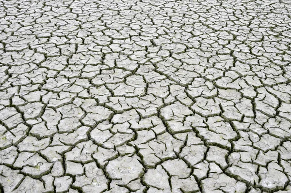 Scheuren in de droge grond. Achtergrond, textuur, ecologie — Stockfoto