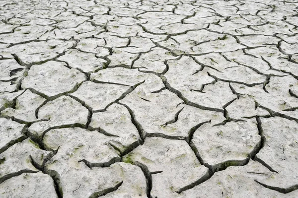 Scheuren in de droge grond. Achtergrond, textuur, ecologie — Stockfoto