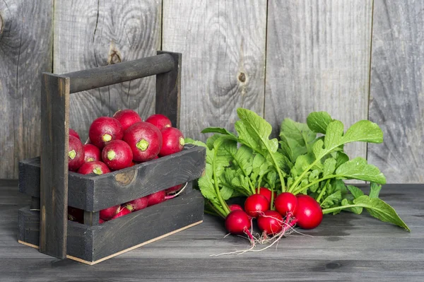 Roter Rettich in einer Holzkiste auf dem Hintergrund eines Bündels Rettich mit grünen Spitzen auf einem hölzernen Hintergrund — Stockfoto