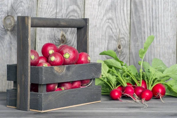 Roter Rettich in einer Holzkiste auf dem Hintergrund eines Bündels Rettich mit grünen Spitzen auf einem hölzernen Hintergrund — Stockfoto