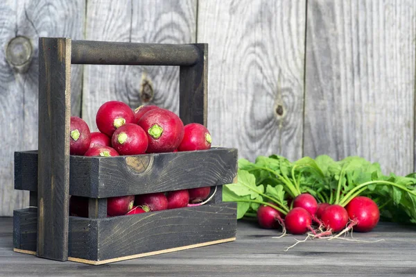 Roter Rettich in einer Holzkiste auf dem Hintergrund eines Bündels Rettich mit grünen Spitzen auf einem hölzernen Hintergrund — Stockfoto