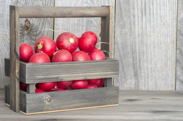 Ahşap tahtaların rustik arka plan üzerinde ahşap bir kutu kırmızı turp. Çiftlik ürünlerinin sürdürülebilirlik kavramı — Stok fotoğraf