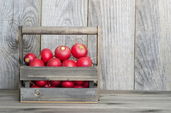 Rábano rojo en una caja de madera sobre un fondo rústico de tablas de madera. Concepto de sostenibilidad del producto agrícola — Foto de Stock