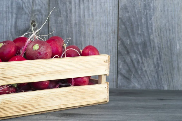 Czerwone rzodkiewki w drewnianym pudełku na rustykalnym tle drewnianych desek. Pojęcie trwałości produktu rolnego — Zdjęcie stockowe