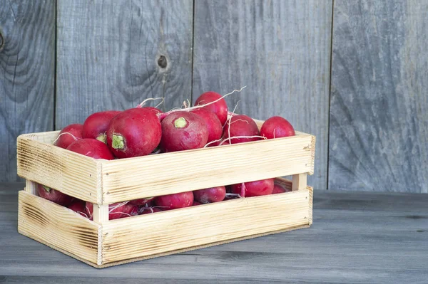 Red radish in a wooden box on a rustic background of wooden boards. The concept of sustainability of the farm product — Stock Photo, Image
