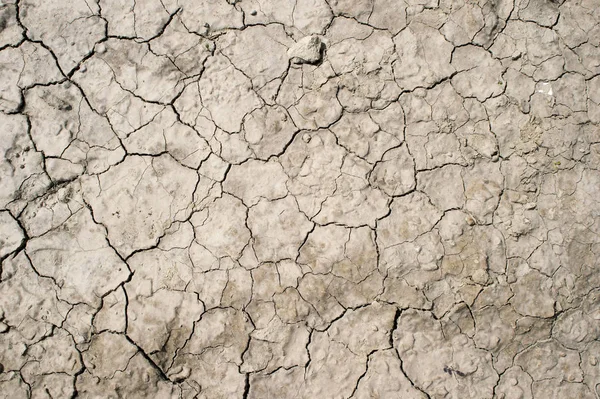 日光の植生の完全な欠如と形の亀裂を持つ乾燥粘土土。テクスチャ — ストック写真