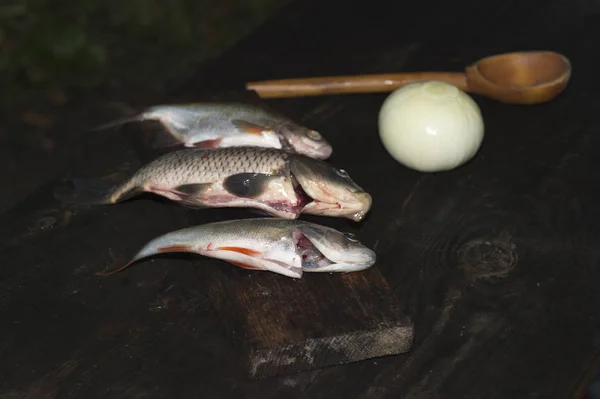 Preparato pesce crudo con cucchiaio di legno e cipolla sulla superficie del tavolo in legno vintage. Cucina concetto di pesca ed escursionismo — Foto Stock