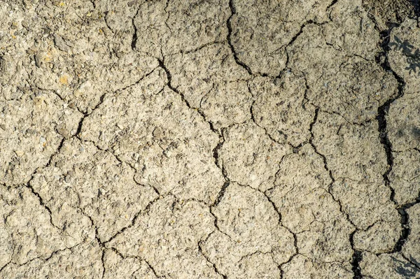 Bitki örtüsü tam bir eksikliği ile susuz arazi dokusu. Arka plan