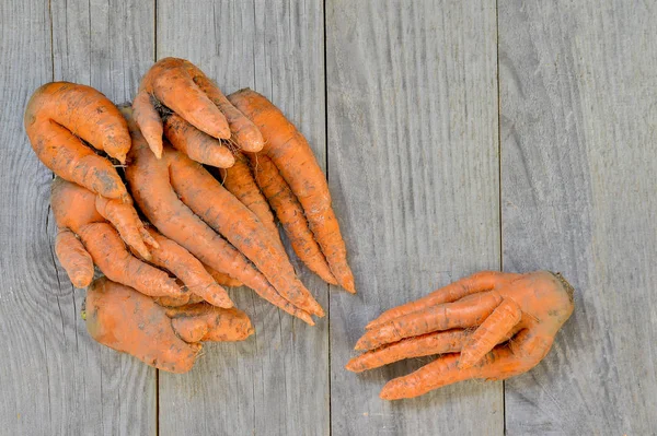 A pile of carrots of irregular shape on a gray wooden rustic background. Concept ugly vegetables — Stock Photo, Image