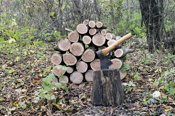 Um machado preso em um toco close-up contra uma pilha de lenha para a lareira, árvores de outono e folhas caídas no chão . — Fotografia de Stock