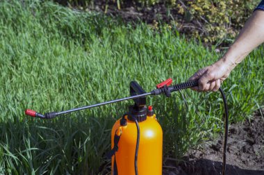Kadın eli turuncu bir spreyin siyah sapını tutar, su gibi kimyasal bir çözeltiden fışkırır..