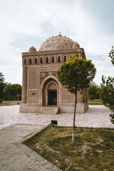 Мавзолей Саманида с деревом и небом в Бухаре, Узбекистан — стоковое фото