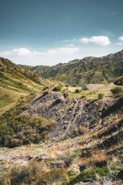 Karayolu street yeşil Kazakistan bozkır görünümü ile boş