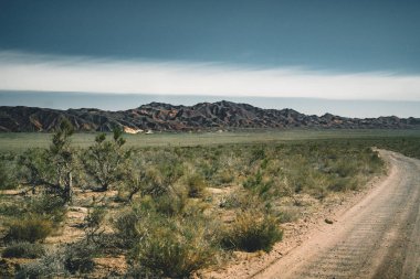 Highway street empty with green Kazakhstan Steppe view clipart