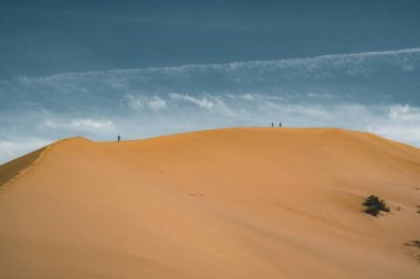 Mavi gökyüzünün altında kum tepeleri. Sahra Çölü, daha önce kumların hareketi nedeniyle transfer köy evleri.