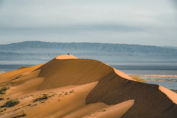 Sanddyner under blå himmel. Sahara-ørkenen. Tidligere ble husene flyttet på grunn av sandbevegelser. . – stockfoto