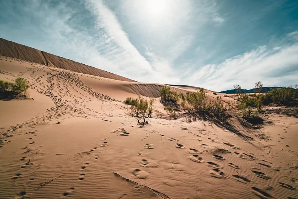 Dunas de arena bajo el cielo azul. Sahara Desert, Anteriormente, casas de pueblo transferidas debido al movimiento de arenas . — Foto de Stock