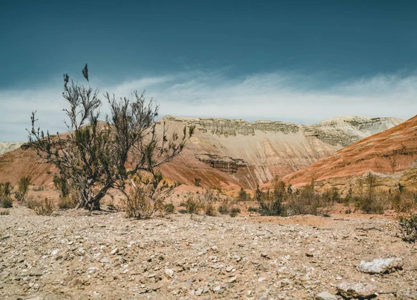 Takyr in Aktau white mountains in Altyn-Emel National Park, Kazakhstan — Stock Image Takyr in Aktau white mountains in Altyn-Emel National Park, Kazakhstan Stock Image