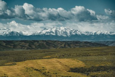 Arka plan ve yeşil bozkır, Kazakistan Orta Asya dağlarında Tian Shan ile mavi gökyüzü