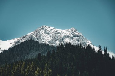 Bozkır sokakta Tian Shan dağlarında arka plan, Kazakistan Orta Asya ile