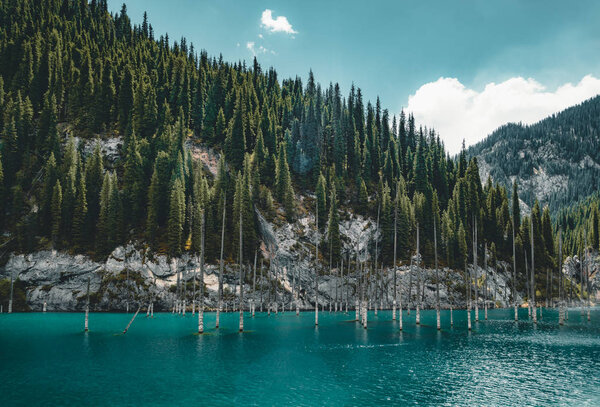 The sunken forest of Lake Kaindy. Lake Kaindy, meaning the "birch tree lake" is a 400-meter-long lake in Kazakhstan that reaches depths near 30 meters in some areas.