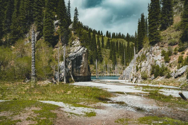 La forêt submergée du lac Kaindy. Lac Kaindy, ce qui signifie que le "lac de bouleau" est un lac de 400 mètres de long au Kazakhstan qui atteint des profondeurs près de 30 mètres dans certaines zones . — Photo