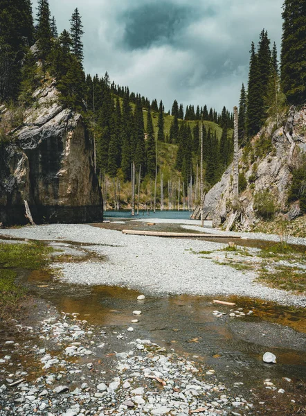 A floresta afundada do Lago Kaindy. Lago Kaindy, que significa o "lago de bétula" é um lago de 400 metros de comprimento no Cazaquistão que atinge profundidades perto de 30 metros em algumas áreas . — Fotografia de Stock