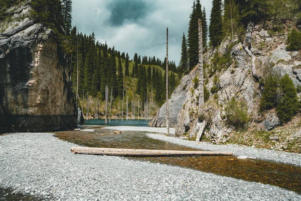Το βυθισμένο δάσος της λίμνης Kaindy. Λίμνης Kaindy, σημαίνει ότι η «λίμνη σημύδα δέντρο» είναι μια λίμνη 400-μετρητής-μακριά του Καζακστάν που φτάνει σε βάθη κοντά 30 μέτρα σε ορισμένες περιοχές. — Φωτογραφία Αρχείου