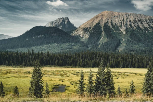 Izolované Peak a okolní hory a lesy v národním parku Banff v Rocky Mountains v Albertě, Kanada. — Stock fotografie