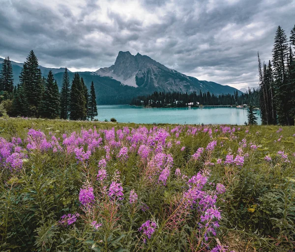 Emerald Lake in Canadian Rockies with mountains and lake and trees. Concept of active vacation and tourism.