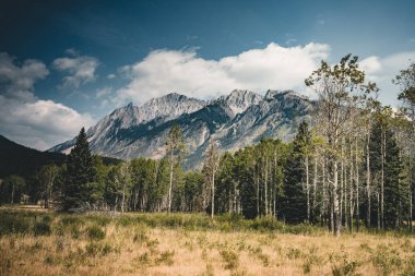 İzole tepe ve çevreleyen dağlar ve ormanlar Banff National Park, Alberta, Kanada Rocky Dağları.